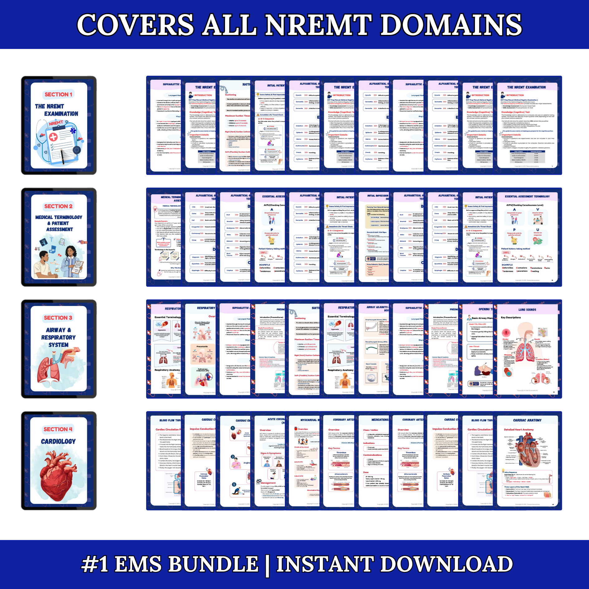 EMS & Paramedic Study Notes Bundle