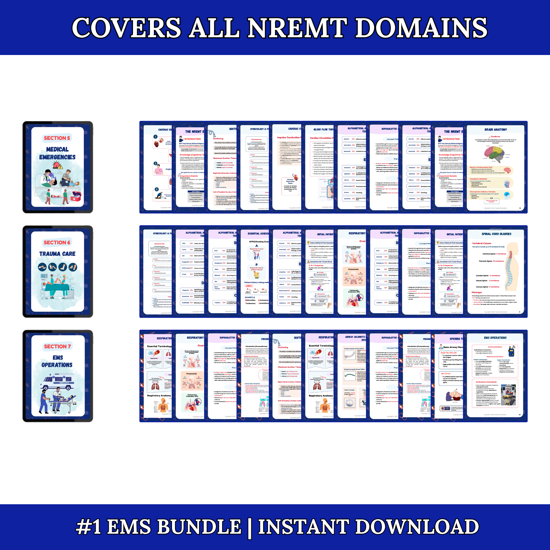 EMS & Paramedic Study Notes Bundle