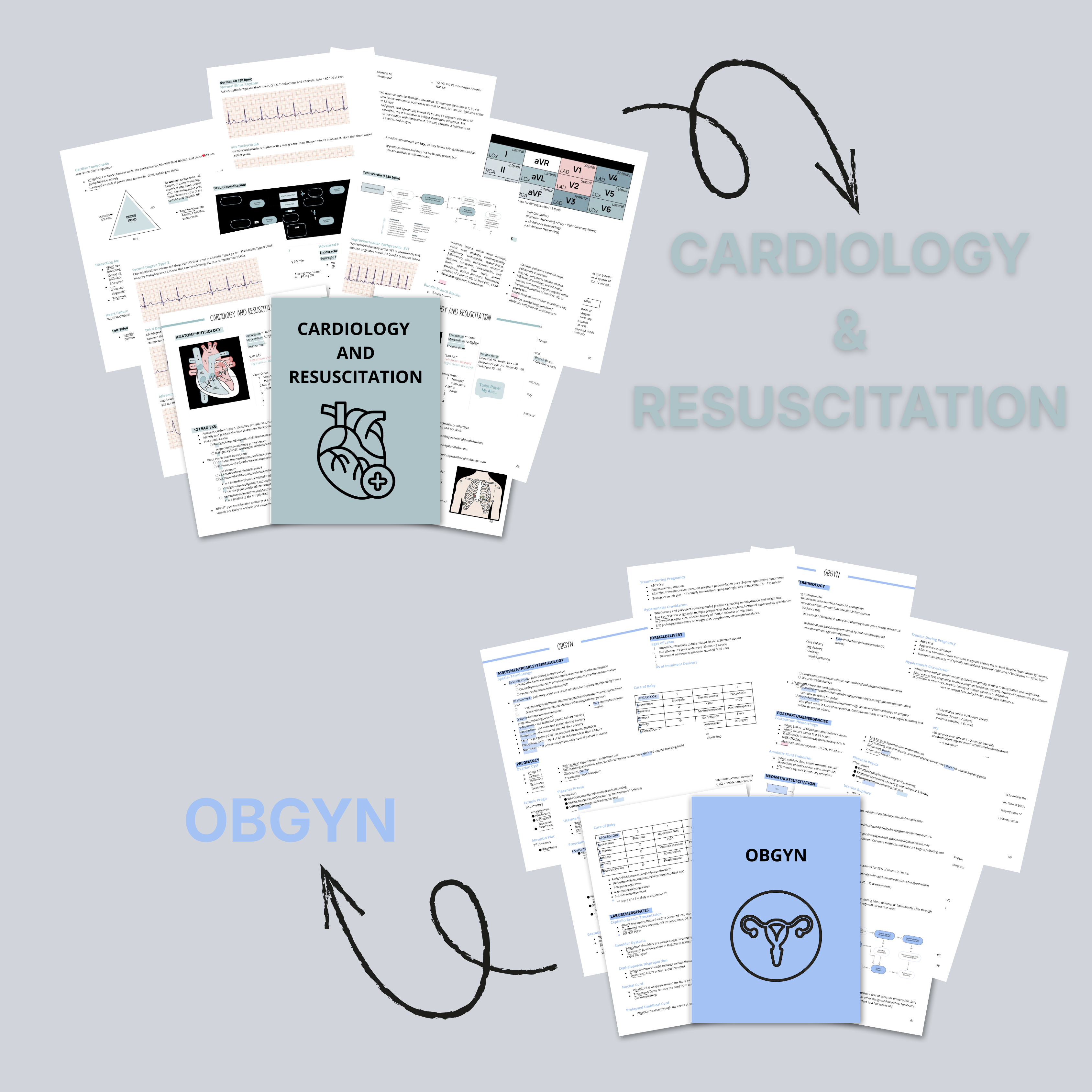 EMS Student & Paramedic Study Notes Bundle